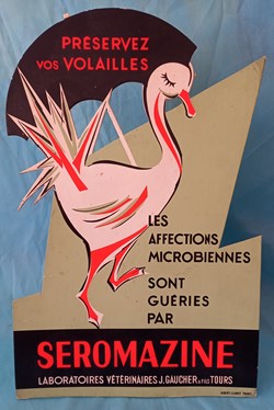 Antibiotiques SEROMAZINE