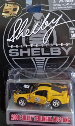 2008 Shelby Terlingua
