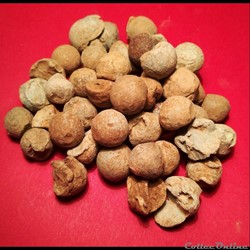 Balles de mousquet - 12mm