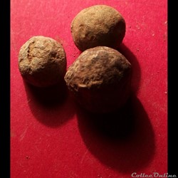 Balles de mousquet - 8mm