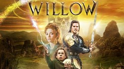 willow