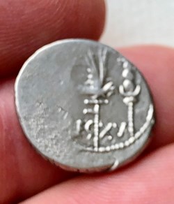 Marcus Antonius AR Denarius, Legio XV 'Apollinaris', Pannonia