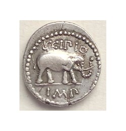 Quintus Caecilius Metellus Pius Scipio AR Denarius - Africa mint, War Elephant