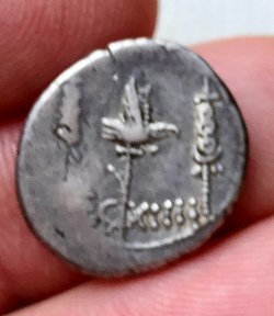 Marcus Antonius AR Denarius, Legio XIIII 'Gemina'
