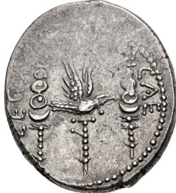 Marcus Antonius AR Denarius, Legio XVII  CLASSICAE or  Legio XVIII LYBICAE