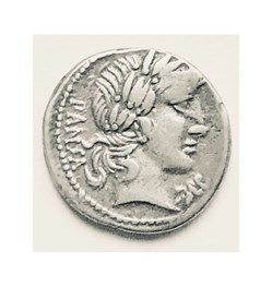 AR Denarius - Vibia - C Vibius Cf Pansa, 90 BC.