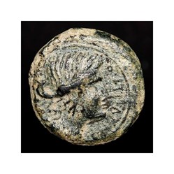 Julius Caesar (45-44 B.C.) Æ Semis, Hispania Romana, Cordoba