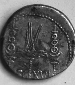 Marcus Antonius AR Denarius, Legio XVI, Gallica / Germania Superiore
