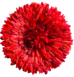 Juju-hat-Rouge