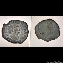 Carausius/Pax/Irregular