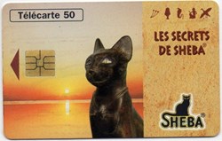 1996 SHEBA CARTE N° 3 SO3 08/96