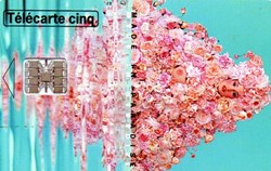 1996 CACHAREL 03/96 SC7