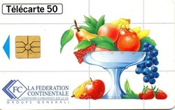 1996 LA FEDERATION CONTINENTALE 06/96 GEM