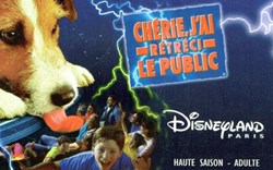 1999 CHERI, J AI RETRECI LE PUBLIC DISNEYLAND PARIS VALIDE LE XXXXXX ZONE VIOLET DOS