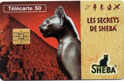 1996 SHEBA CARTE N° 1 SO3 08/96