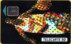 1993 TROPHEE LEGRAND CARTE N° 2 03/93 SC5