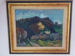 Paysage de Coquerel