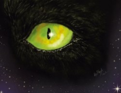 Night Queen by Kayla Cook