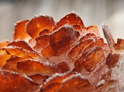 Celestine