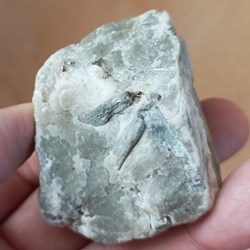 Scapolite sur Gypse (ou "Dipyre")