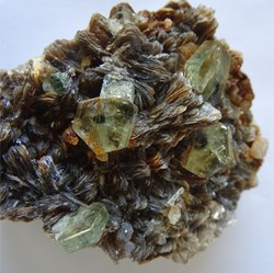 Apatite "Black Eyed Peas"