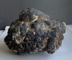 Nodule polymetallique