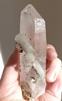 Apatite sur Quartz