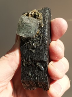 Fluorite octaèdrique sur Wolframite