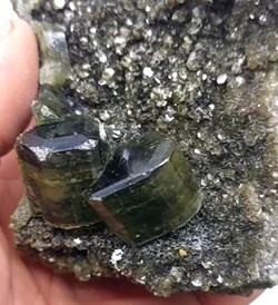 Apatites vertes sur muscovite