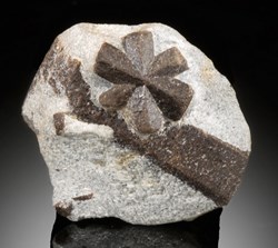 Staurolite (macle multiple)