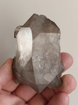 Quartz  et Chlorite (macle du Dauphiné)