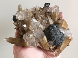 Sphalerite, ferberite, quartz et muscovite