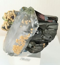 Wolframite, Quartz et Apatite