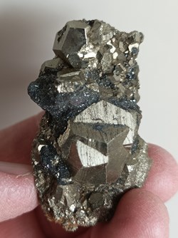 Pyrite maclée et Hématite (île d'Elbe)
