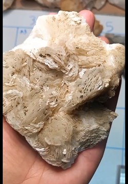 Calcite-Dolomite et Pyrite
