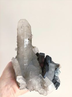 Quartz, ferberite, apatites bleues et Fluorite XXL
