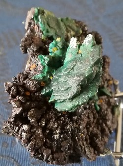 Chrysocolle et Wulfénite (Australie)