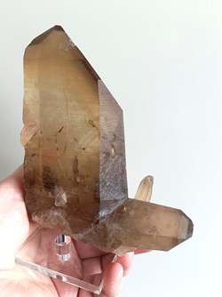 Citrine maclée, Zambie