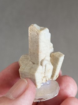 Microcline maclée, Vera Cruz, Mexique