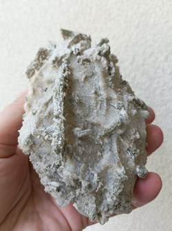 Scapolite sur Gypse (ou "Dipyre")