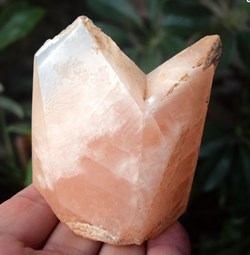 Calcite maclée, carrière de Liré (Maine et Loire)