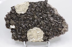 Muscovite, variété Zinnwaldite