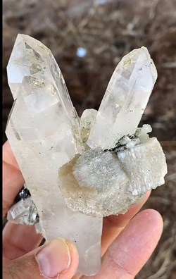 Apatites sur Quartz