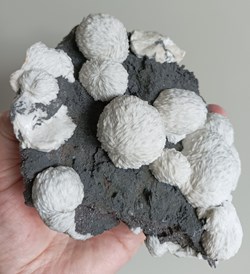 Barite, Saint Laurent le minier, Gard