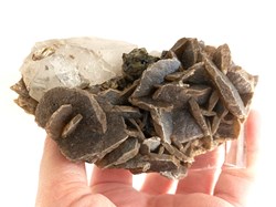 Siderite brune