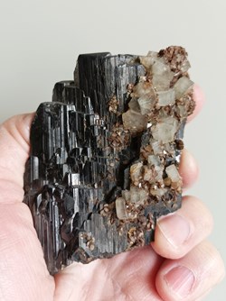 Wolframite (Ferberite) et Apatite
