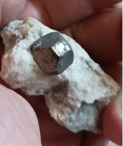 Pyrite sur Gypse (Betchat, Ariège)