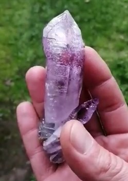Amethyste sceptrée
