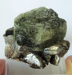 Apatite sur Arsénopyrite