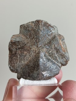 Staurolite ou Staurotide